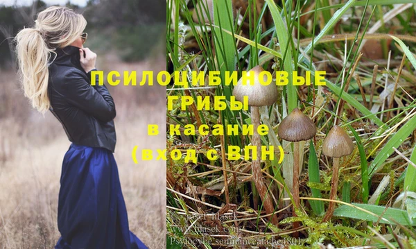 кокс Баксан