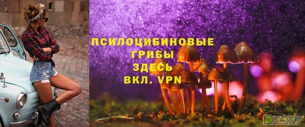 кокс Баксан