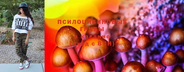 кокс Баксан