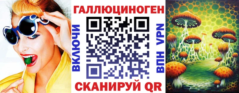 наркота  Семёнов  Псилоцибиновые грибы Psilocybe 